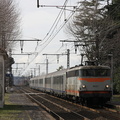 IMG 1371