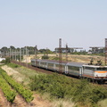 IMG 4784