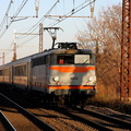 IMG 5497