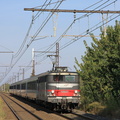 IMG 3539
