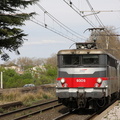 IMG 6658
