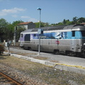DSCF7081