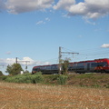 IMG 7842