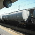 DSCF8882