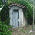 DSCF8151