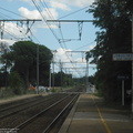 DSCF8154