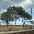 DSCF8162