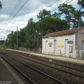 DSCF8164