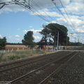 DSCF8165