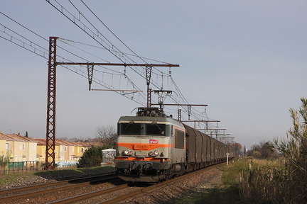 IMG 8534