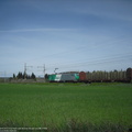 DSCF1055