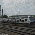 DSCF1346