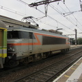 IMG 3304