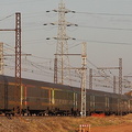 IMG 0175