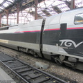 IMG 4218