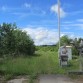 IMG 7299