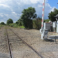 IMG 0717