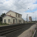 IMG 0778