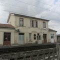 IMG 0779