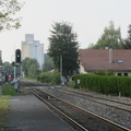 IMG 1506