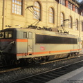 IMG 7103