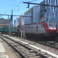IMG 1833