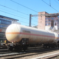 IMG 1826