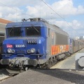IMG 2435