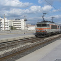 IMG 2439