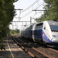 IMG 0270