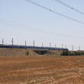 IMG 9767