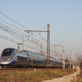 IMG 6646