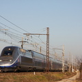 IMG 6654
