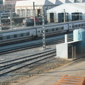 DSCF6159