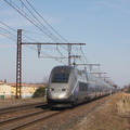 IMG 9598