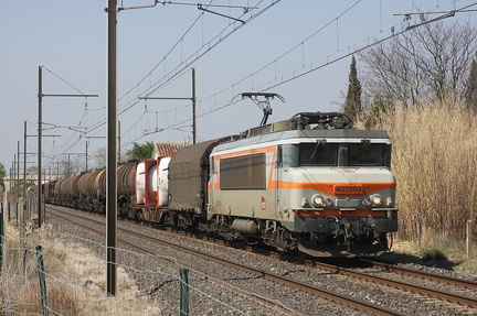 IMG 9647