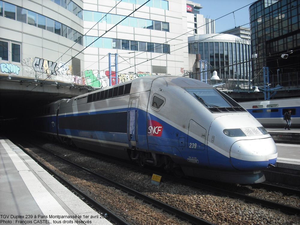 DSCF0905.JPG