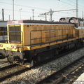 DSCF1007