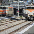 IMG 1304
