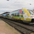 IMG 4885