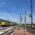 IMG 8334