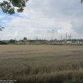 IMG 9586
