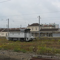 IMG 1758