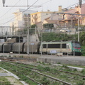IMG 7226