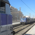 IMG 8587