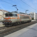 IMG 0812